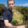 digby kakapo