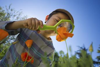 453443071 boy with flowers