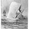 MobyDick