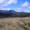 mt arthur and range small