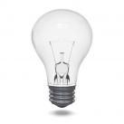 Bulb Small
