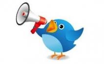 twitter bird