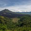 smartphones in rainforest