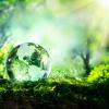 sustainability