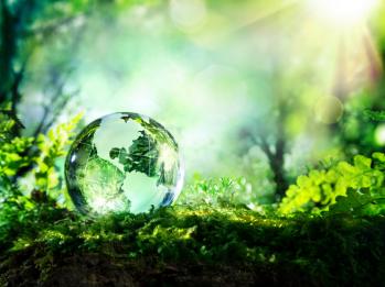 sustainability