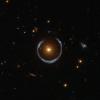 extrasolar plants lensshoe