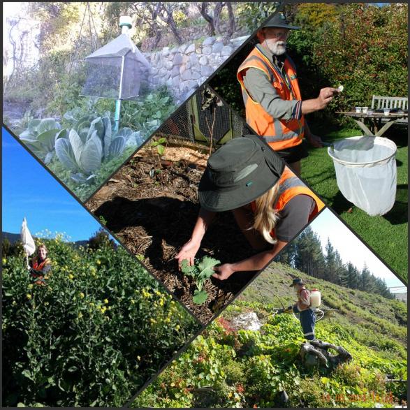 GBW enews collage 2 small