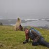 bernard potter sea lion