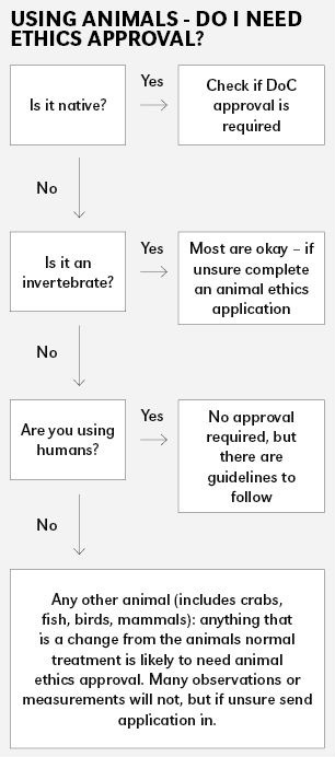 ANIMAL ETHICS