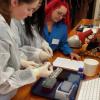 metagenomics 1
