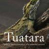 tuatara