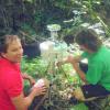 waitomo caves 1