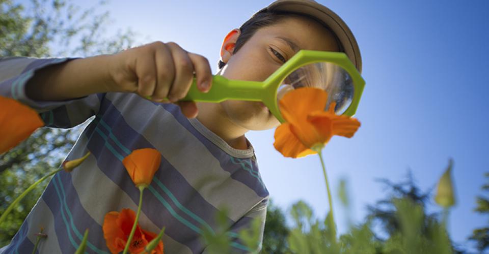 boy with flowers