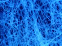 Fibre Structure