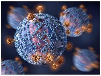 CAR T Cell